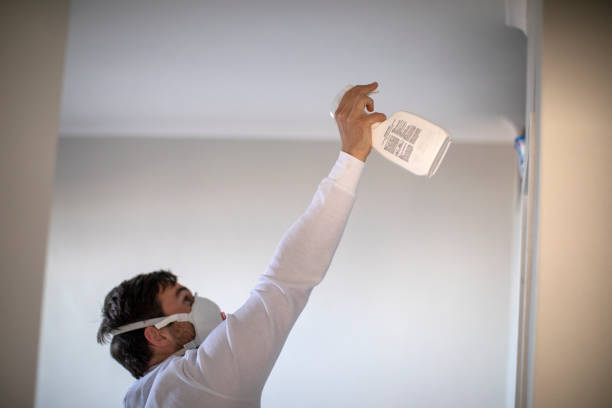 Best Localized Mold Remediation (e.g., coastal areas, humid climates) in Wildwood, NJ